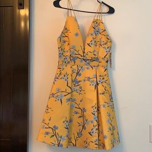 Alice+ Olivia sample dress